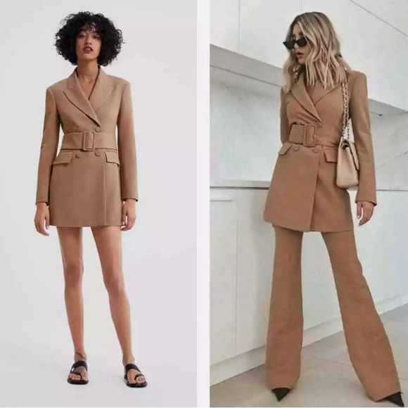 NWT Blogger’s Favorite Luxury Minimalist Zara Double Breasted Camel Coat/Dress - Picture 6 of 17